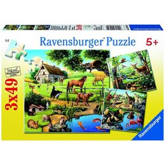 Ravensburger palapeli 3x49 kpl Eläimet hinta ja tiedot | Palapelit | hobbyhall.fi