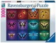 Ravensburger palapeli 1000 kpl Siivekäs hinta ja tiedot | Palapelit | hobbyhall.fi