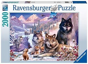 Ravensburger palapeli 2000 kpl Sudet lumessa hinta ja tiedot | Palapelit | hobbyhall.fi