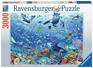 Ravensburger palapeli 3000 palaa Vedenalainen maailma hinta ja tiedot | Palapelit | hobbyhall.fi