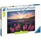 Ravensburger palapeli 500 kpl Lupiineja hinta ja tiedot | Palapelit | hobbyhall.fi