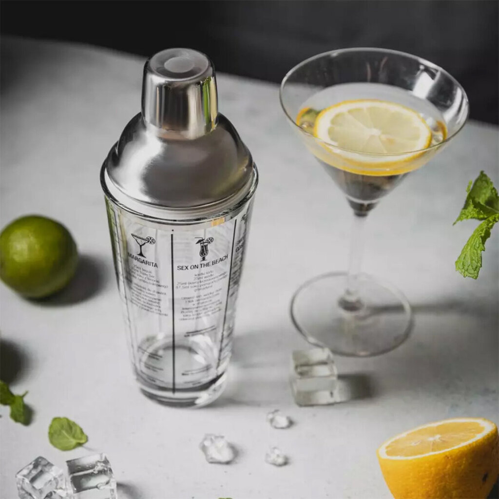 Cocktail shaker, 400 ml hinta ja tiedot | Keittiövälineet | hobbyhall.fi