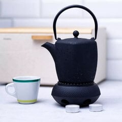 Teekannu, 0,9 l hinta ja tiedot | Kahvipannut ja teekannut | hobbyhall.fi