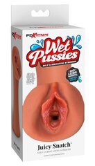 Masturbator Pipedream Extreme Toyz Wet Pussies Luscious Lips hinta ja tiedot | Tekovaginat ja masturbaattorit | hobbyhall.fi