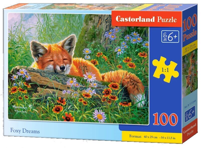 Palapeli 100 palaa, Foxy Dreams hinta ja tiedot | Palapelit | hobbyhall.fi