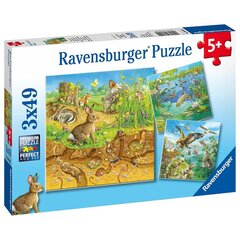 Ravensburger palapeli 3x49 kpl Eläimet hinta ja tiedot | Palapelit | hobbyhall.fi