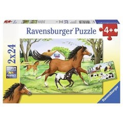 Ravensburger palapeli 2x24 kpl Hevosten maailma hinta ja tiedot | Palapelit | hobbyhall.fi