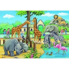 Ravensburger palapeli 2x24 kpl Zoo hinta ja tiedot | Palapelit | hobbyhall.fi