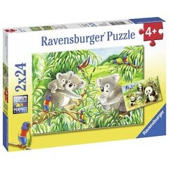 Ravensburger palapeli 2x24 kpl Koalat ja pandat hinta ja tiedot | Palapelit | hobbyhall.fi