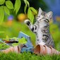 Ravensburger palapeli 3x49 kpl Kitties hinta ja tiedot | Palapelit | hobbyhall.fi