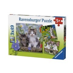 Ravensburger palapeli 3x49 kpl Kitties hinta ja tiedot | Palapelit | hobbyhall.fi
