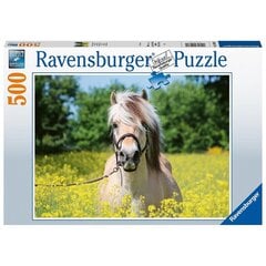 Ravensburger palapeli 500 kpl Valkoinen hevonen hinta ja tiedot | Palapelit | hobbyhall.fi