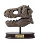 Buki Tyrannosaurus -kallo hinta ja tiedot | Kehittävät lelut | hobbyhall.fi