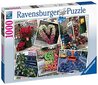 Ravensburger palapeli 1000 kpl Kukkakuvia hinta ja tiedot | Palapelit | hobbyhall.fi