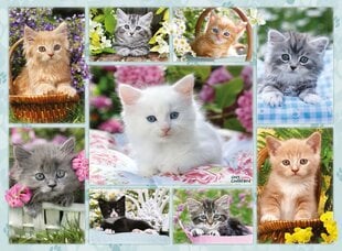 Ravensburger palapeli 500 kpl Kitties korissa hinta ja tiedot | Palapelit | hobbyhall.fi