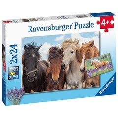 Ravensburger palapeli 2x24 kpl Hevosia hinta ja tiedot | Palapelit | hobbyhall.fi