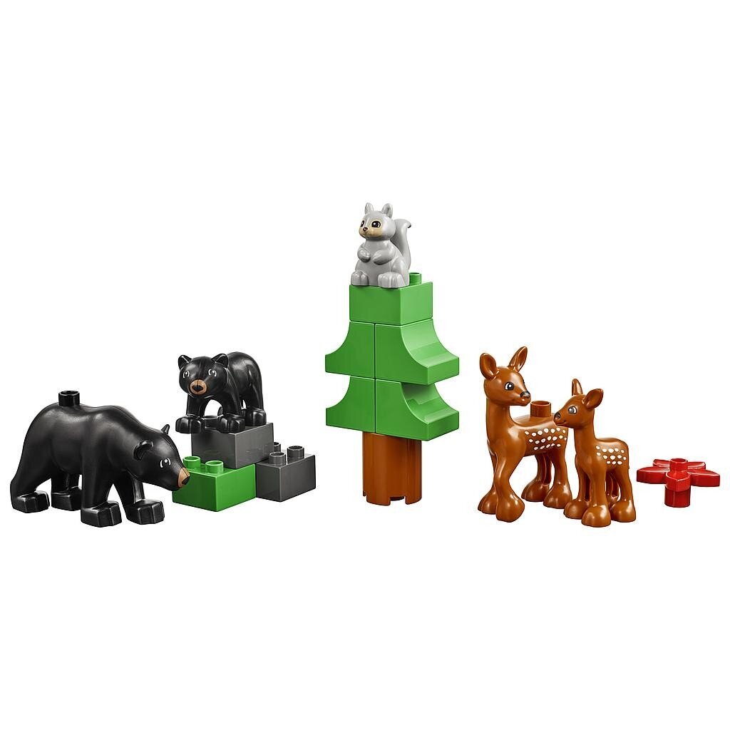 LEGO Education Animals hinta ja tiedot | LEGOT ja rakennuslelut | hobbyhall.fi