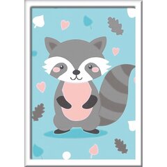 Ravensburger Paint by Number Cute Raccoon hinta ja tiedot | Maalaa numeroiden mukaan | hobbyhall.fi