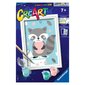 Ravensburger Paint by Number Cute Raccoon hinta ja tiedot | Maalaa numeroiden mukaan | hobbyhall.fi