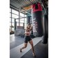 Nyrkkeilysäkki 36 kg ketjulla hinta ja tiedot | Kamppailulajit | hobbyhall.fi