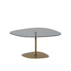 Kahvipöytä, Asir, 85x40x67 cm, tummanharmaa / kulta hinta ja tiedot | Sohvapöydät | hobbyhall.fi