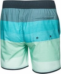 Uimashortsit Aqua-Speed Nolan hinta ja tiedot | Miesten uimahousut ja -shortsit | hobbyhall.fi