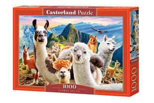 Castorland Llamas Selfie Puzzle, 1000 palaa hinta ja tiedot | Palapelit | hobbyhall.fi
