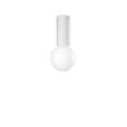 KattO Petit Pl1 Bianco 232966