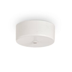 Kiinnitys Elementti Rosone Magnetico 1 Luce Bianco 244235 hinta ja tiedot | Upotettavat valaisimet ja LED-valaisimet | hobbyhall.fi