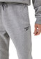 Reebok Urheiluhousut Ri Ft Left Leg Jogger Grey 100067631 100067631/L hinta ja tiedot | Miesten urheiluvaatteet | hobbyhall.fi