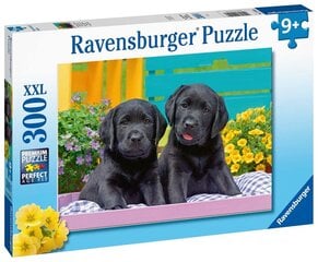 Ravensburger Puzzle Puppy Life 300P 12950 hinta ja tiedot | Palapelit | hobbyhall.fi