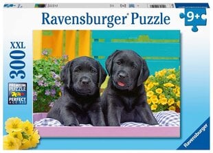 Ravensburger Puzzle Puppy Life 300P 12950 hinta ja tiedot | Palapelit | hobbyhall.fi