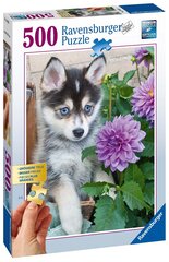 Ravensburger Puzzle Söpö Husky 500p 13682 hinta ja tiedot | Palapelit | hobbyhall.fi