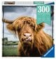 Ravensburger Puzzle Highland -karja 300p 13273 hinta ja tiedot | Palapelit | hobbyhall.fi