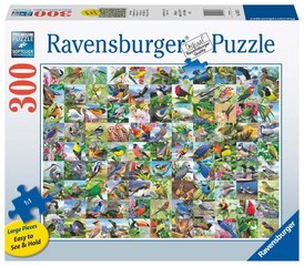 Ravensburger Puzzle 99 Ihastuttavia lintuja 300PLF 16937 hinta ja tiedot | Palapelit | hobbyhall.fi