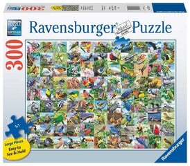 Ravensburger Puzzle 99 Ihastuttavia lintuja 300PLF 16937 hinta ja tiedot | Palapelit | hobbyhall.fi