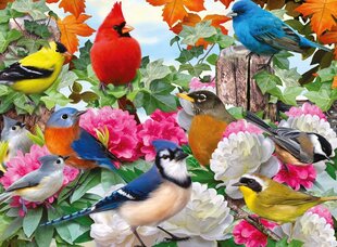 Ravensburger Puzzle Garden Birds 500pc 14223 hinta ja tiedot | Palapelit | hobbyhall.fi