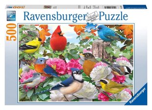 Ravensburger Puzzle Garden Birds 500pc 14223 hinta ja tiedot | Palapelit | hobbyhall.fi