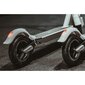 Sähköpotkulauta Beaster Scooter BSZAL 350 W, 36 V, 8 Ah, mobiilisovelluksella hinta ja tiedot | Sähköpotkulaudat | hobbyhall.fi