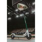 Sähköpotkulauta Beaster Scooter BSZAL 350 W, 36 V, 8 Ah, mobiilisovelluksella hinta ja tiedot | Sähköpotkulaudat | hobbyhall.fi