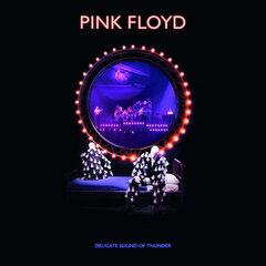 2CD PINK FLOYD Delicate Sound Of Thunder (Live) hinta ja tiedot | Vinyylilevyt, CD-levyt, DVD-levyt | hobbyhall.fi