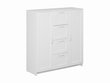 ORION-kaappi, 2 ovea ja 4 laatikkoa 117x123cm, valkoinen 7.02.03.350.1 hinta ja tiedot | Lipastot | hobbyhall.fi