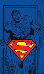 Lasten pyyhe Superman 30x50cm hinta ja tiedot | Pyyhkeet | hobbyhall.fi