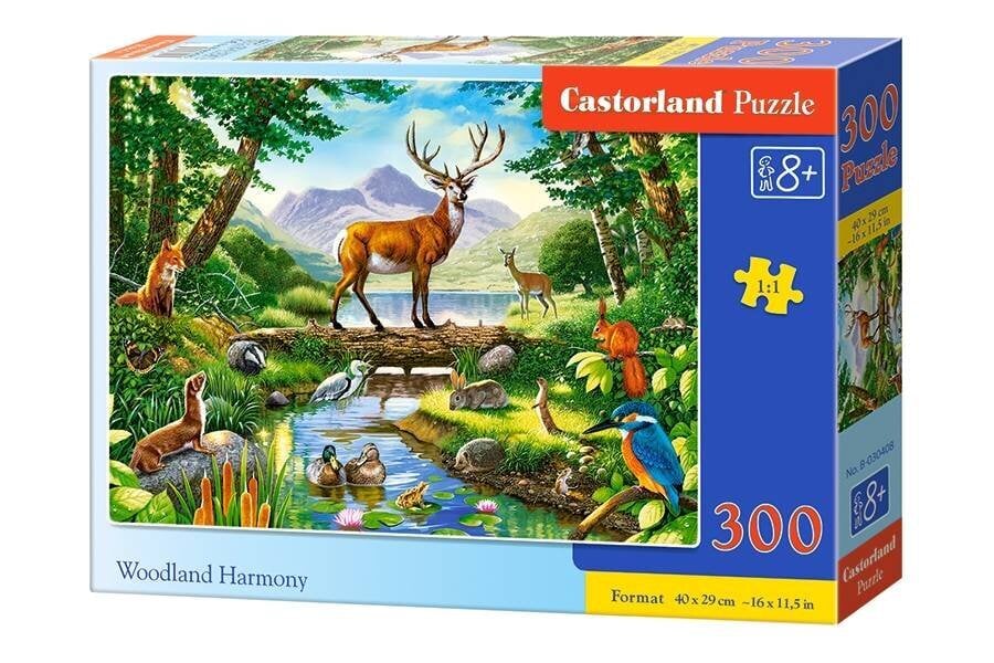 Castorland Woodland Harmony Puzzle, 300 palaa hinta ja tiedot | Palapelit | hobbyhall.fi