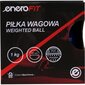 Urheilupallo 1 kg painolla, sininen hinta ja tiedot | Treenipallot | hobbyhall.fi