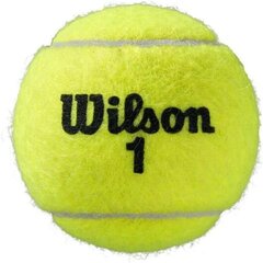 Tennispallot, S, Wilson Roland Garros, 3kpl hinta ja tiedot | Wilson Mailapelit | hobbyhall.fi