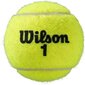 Tennispallot, S, Wilson Roland Garros, 3kpl hinta ja tiedot | Tennisvälineet | hobbyhall.fi