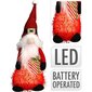 Joulutonttu Led-valolla 51 cm hinta ja tiedot | Joulukoristeet | hobbyhall.fi