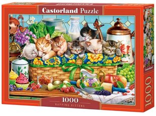 Palapeli Castorland, 1000 kpl, Napping Kittens hinta ja tiedot | Palapelit | hobbyhall.fi