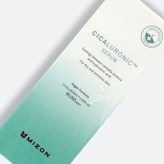 Kosteuttava seerumi Mizon Cicaluronic (30 ml) hinta ja tiedot | Mizon Kasvojenhoitotuotteet | hobbyhall.fi